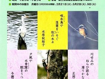 企画展示・歌に詠まれた鳥たち