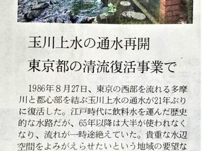 8/26日経夕刊記事！玉川上水の通水再開！