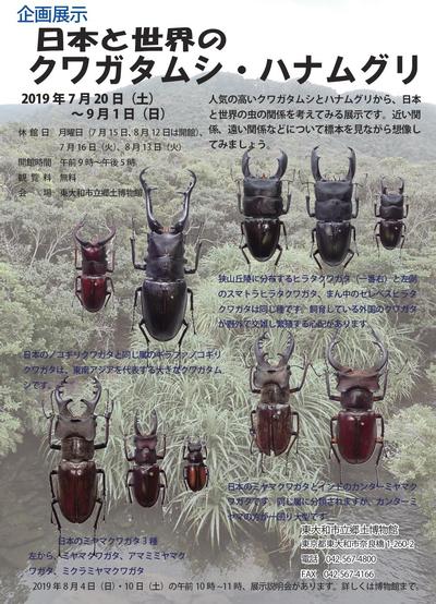 企画展示 日本と世界のクワガタムシ ハナムグリ 東大和の博物館 文化財情報