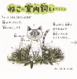 どっとネット小