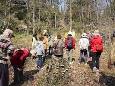 「秋の狭山緑地と蔵敷コース」まち歩きのお知らせ