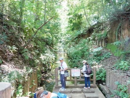 「玉川上水と水の流れコース」のお知らせ