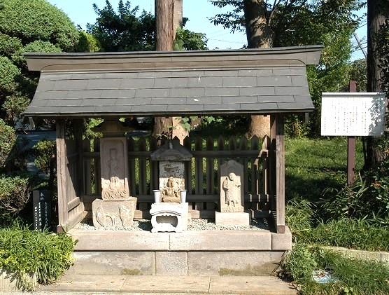 芋窪地区養成講座コース資料