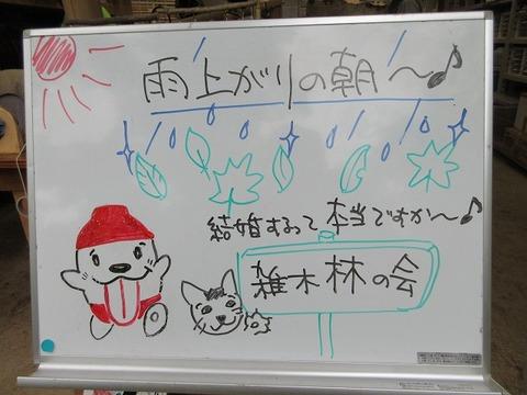2025年5月25日（日）の活動
