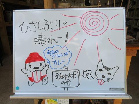 2025年6月7日（土）の活動