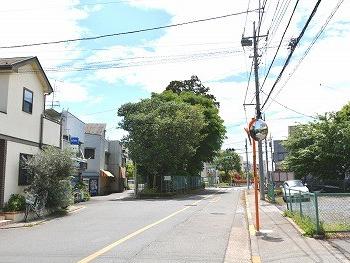 山王社・日枝社(東京都東大和市蔵敷）