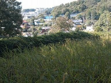 村山貯水池(多摩湖）の湖底に沈んだ村の食生活