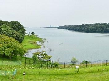 村山貯水池(多摩湖)に沈んだ古村の移転