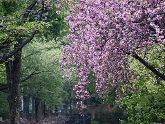 長生きしようね！