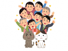 地域猫動画など
