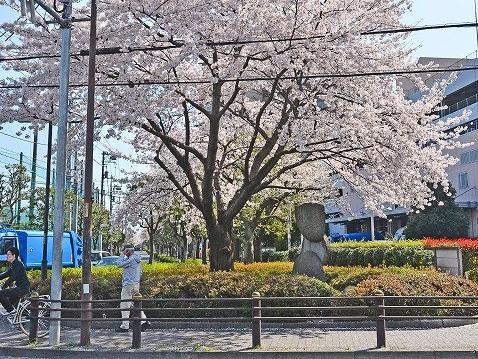 モニュメント・桜
