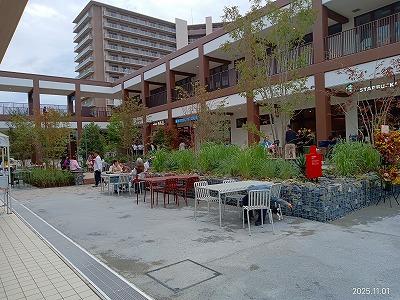 １１月１日の好天を楽しむ