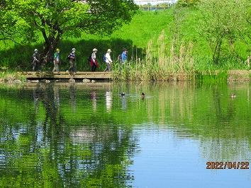 Walking Largoは水と緑の柳瀬川回廊を散策