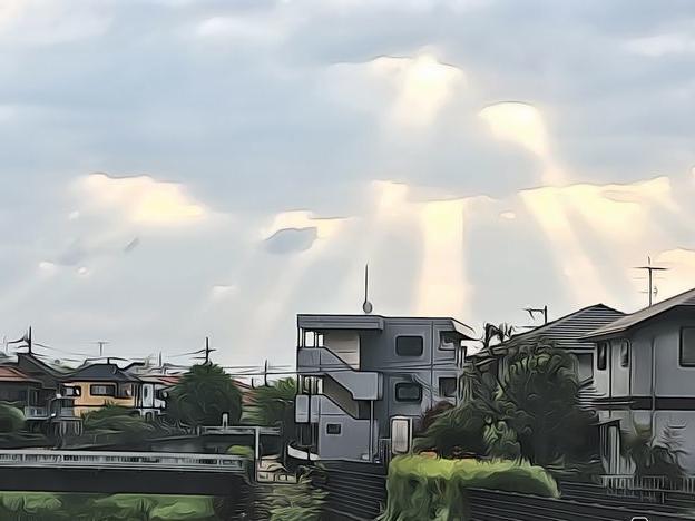抱卵期 殻出しは未だない