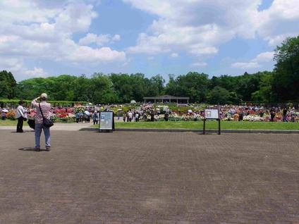 5月の都立神代植物公園Ⅱ