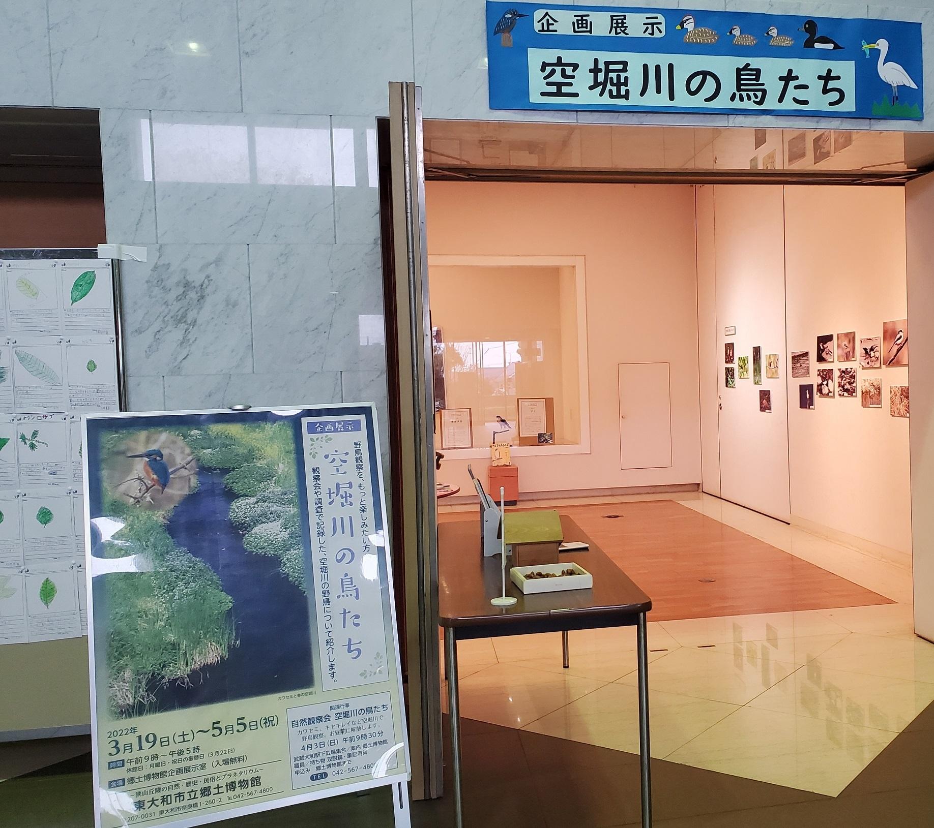 郷土博物館企画展”空堀川の鳥たち”