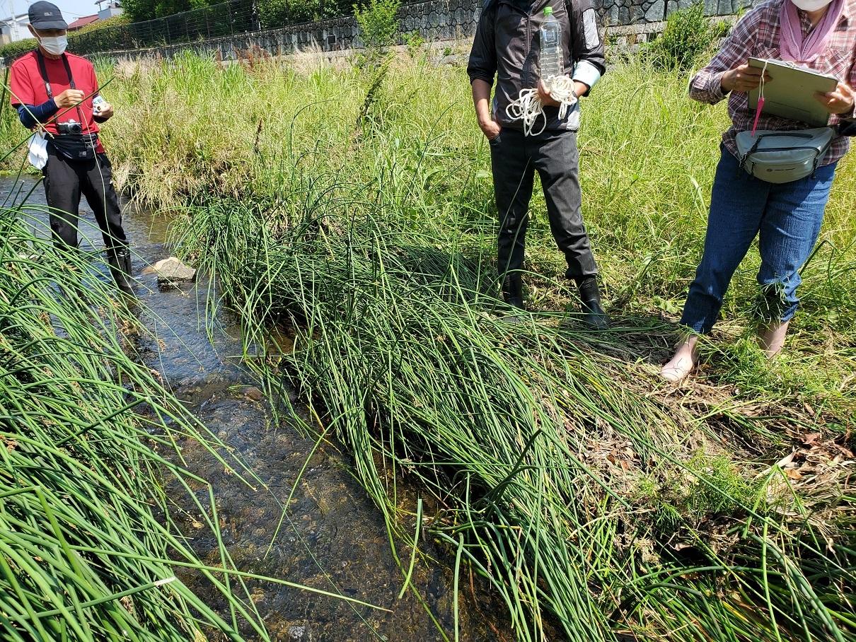 空堀川！水質調査実施！