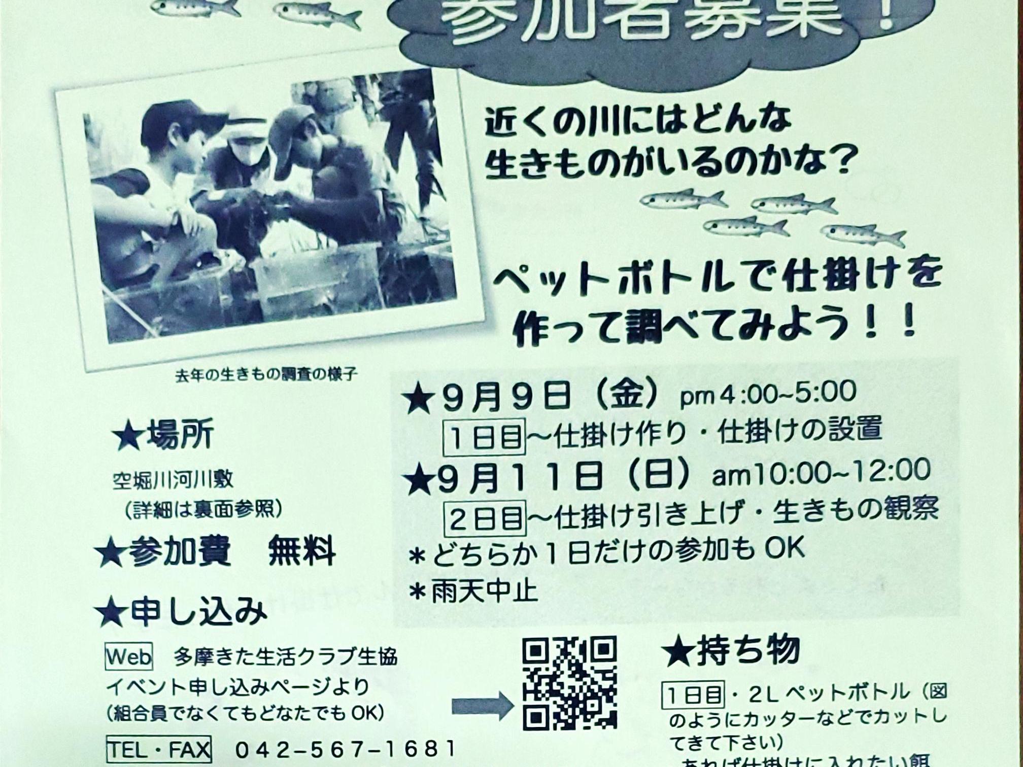 おしらせ！空堀川”生きもの調査”！