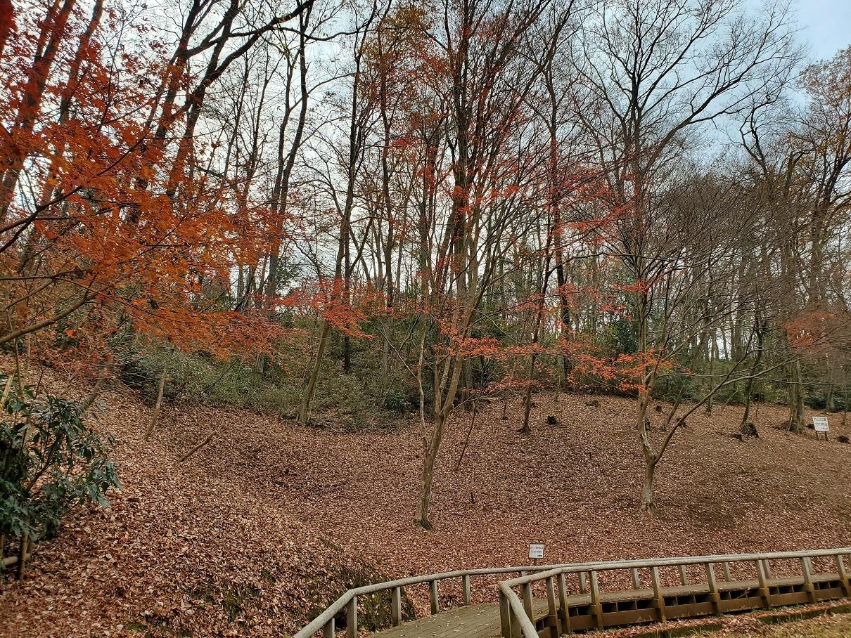 空堀川！１２月の源流域・野山北公園！