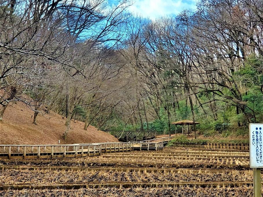 空堀川の源流域！　野山北公園の今！