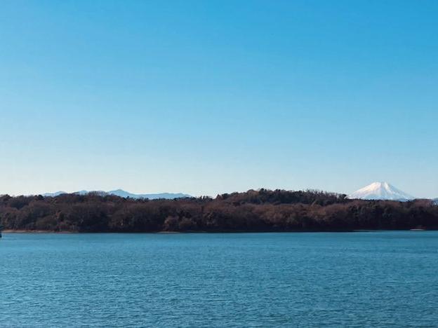 狭山自然公園の散歩と富士山