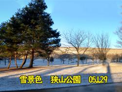 うっすら雪化粧・・