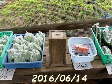 直売所に夏野菜