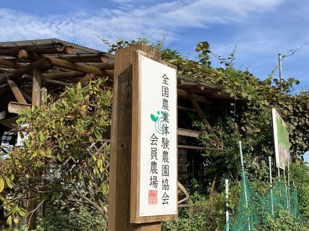 朝露の農園で雑草取りに励む