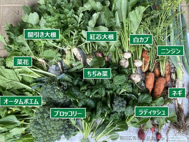 収穫作業 雨の降る前に