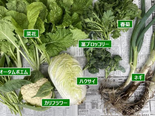 師走の風景 - 農園講習お礼肥