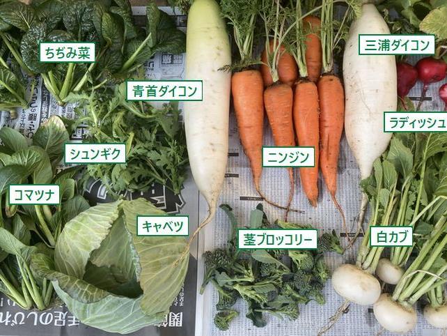 年の瀬の農園で幸せなひと時