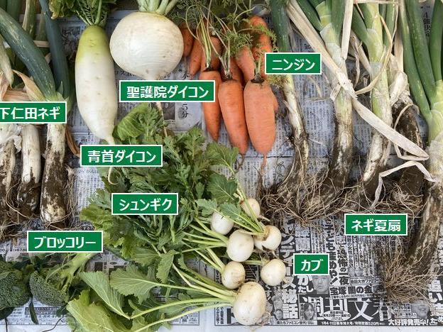 体験農園の契約更新と急ぐ収穫