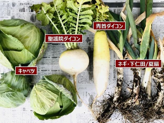 夕暮れ時の収穫作業