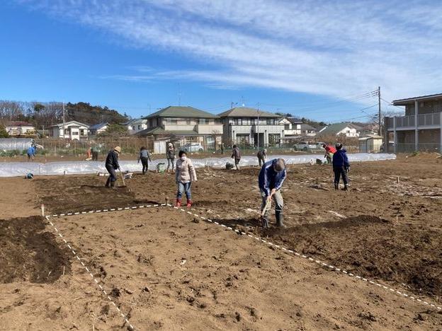 体験農園 強風下の準備作業