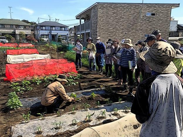 支柱を立ててトマトとピーマン