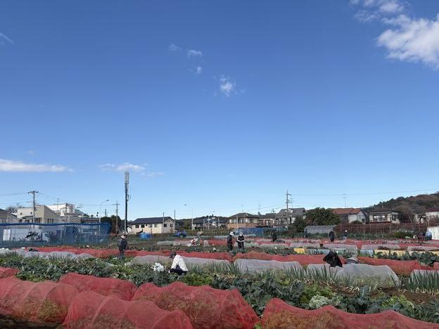 季節の移動を感じる農園作業