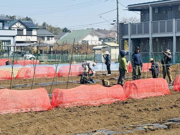 第3回講習 サトイモの定植