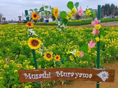 令和５年で最後となった菜の花畑