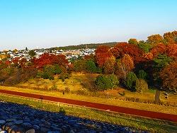 食す・紅葉・展示会など秋を楽しむ