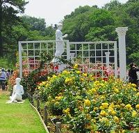 東大和ラルゴの＊秘密の花園散策（後編）