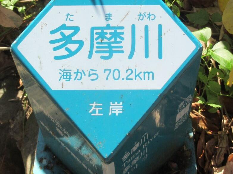 奥多摩へ紅葉散策