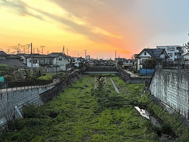 カワセミの子育てとオスの失踪