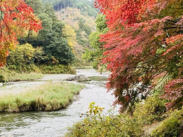 紅葉の御嶽渓谷 東大和から