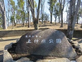 冬の公園散歩