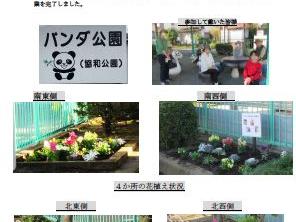 秋の花植えの実施報告(栄三丁目自治会)
