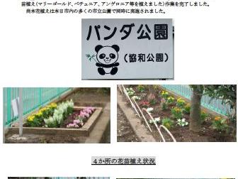 春の花植え実施報告