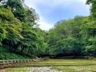 空堀川源流域！5月から6月の移ろい！