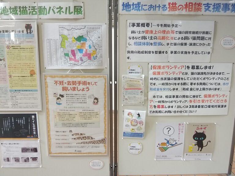 動物愛護週間パネル展