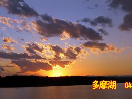 金色に輝く・多摩湖の夕日