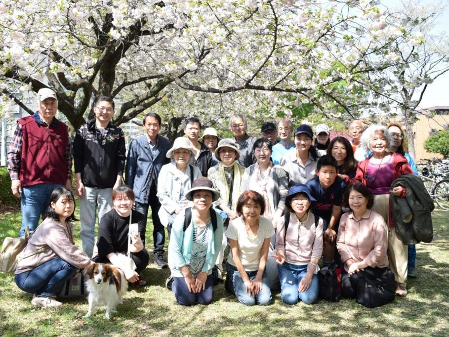 4/11(土)お花見を開催　にほんご友の会